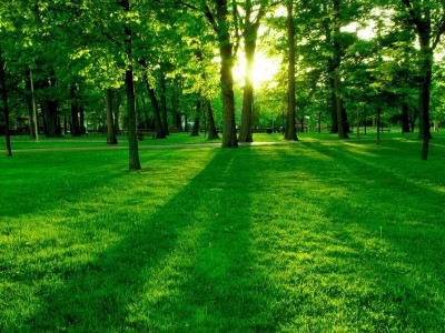 南京有没有好点的捐卵机构，附捐卵中心报名表！