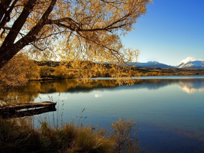 喝孕妇奶粉的注意事项有哪些（喝孕妇奶粉有什么禁忌）