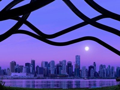 试管婴儿滚下坡（试管婴儿下山坡）