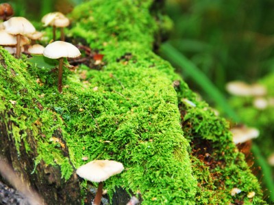 泰国做试管婴儿的费用（泰国做试管婴儿价格便宜）