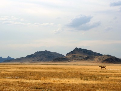 泰国试管婴儿收费价目表一览（泰国试管婴儿费用明细）