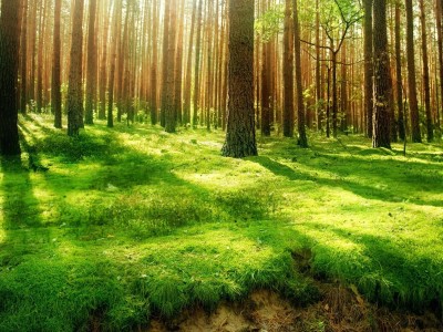 试管移植怀孕初期症状有哪些呢（试管移植怀孕的症状）