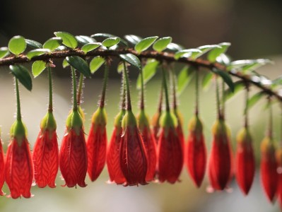 南京私立医院捐卵，附试管成功率与捐卵详细流程！（南京哪家医院可以捐卵）