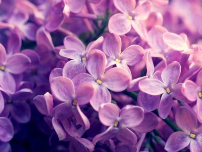 试管婴儿咋样（试管婴儿咋样减胎）