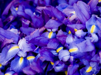 医学院试管婴儿多少钱（医院试管一般花多少钱）