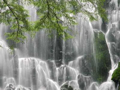 哪里试管婴儿做的好（哪里试管比较好）