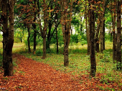 天津试管那家医院（天津试管婴儿哪个医院好）
