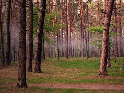 怀孕初期孕吐非常厉害咋办（怀孕初期孕吐强烈意味着什么）