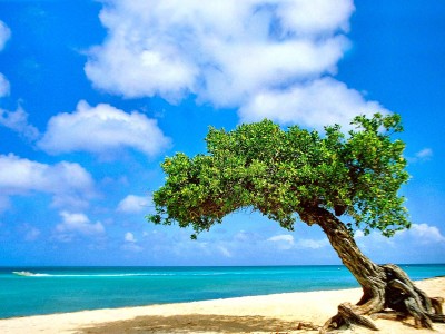 怀孕初期生殖器疱疹复发了怎么办（早孕生殖疱疹复发）