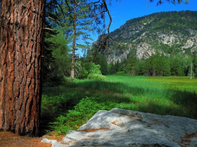 试管婴儿哪好（做试管婴儿哪个方案好）