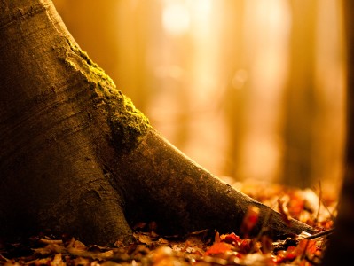 南京正规的捐卵机构在哪里，2024捐卵代怀生子机构一览！