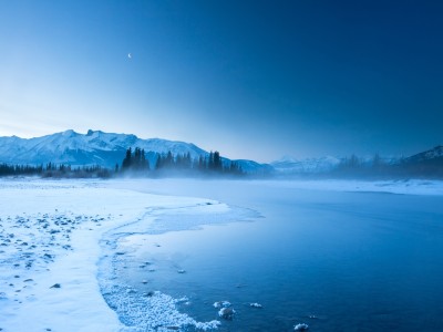 试管婴儿电话（试管婴儿电话咨询）