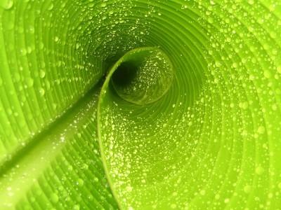 做好的试管婴儿医院（做试管婴儿的医院有哪些）