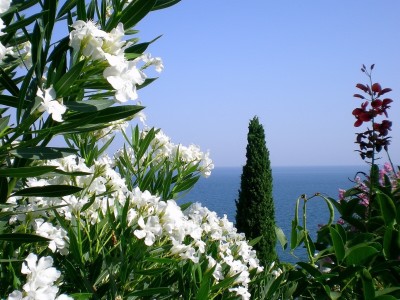 南京高薪捐卵联系方式，靠谱的捐卵私立机构榜单！（正规有偿捐卵联系方式南京）