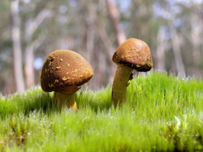 南京哪家医院有捐卵，附2023前三机构详细介绍！（南京有偿捐卵）