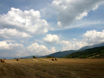 孕妇感冒流鼻涕又咳嗽怎么办（孕期感冒咳嗽流鼻涕怎么办?）