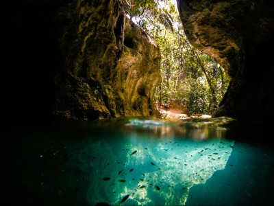 两个女生怎么试管生孩子（两个女生怎么试管生孩子的）