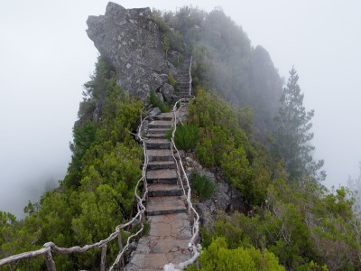 试管婴儿生长激素针多少钱一针（试管生长激素打多少剂量）