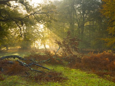兴义市试管婴儿（兴义市人民医院可以做试管婴儿吗）