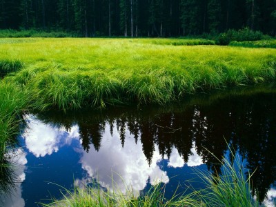 包含做试管婴儿用别人的精子要多少钱的词条